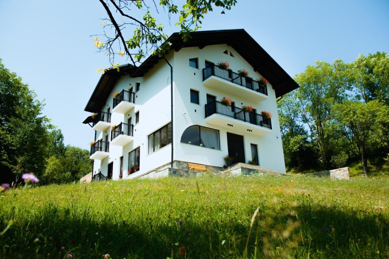 Hotel Linistea Codrului Borşa Exterior foto