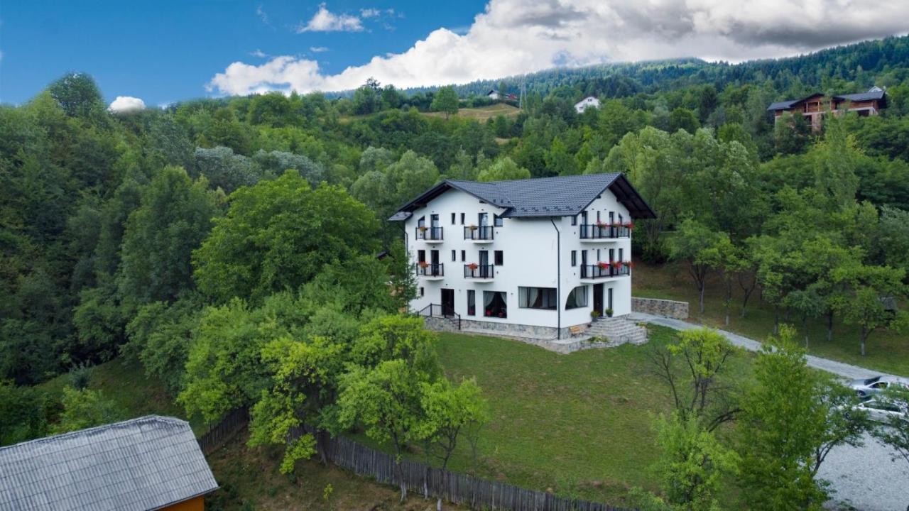 Hotel Linistea Codrului Borşa Exterior foto